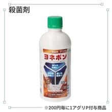 ��ͥݥ�����