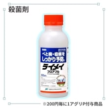 �饤�ᥤ�ե����֥�