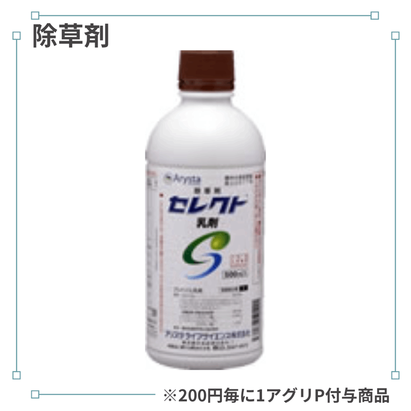 ���쥯������