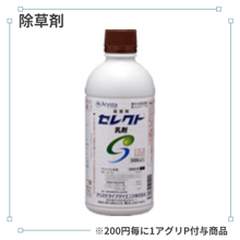 ���쥯������