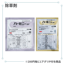 �ϡ���ˡ��ģ�