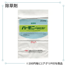 �ϡ���ˡ���γ�ޣ�