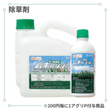 �८��󥸥㡼����