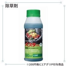 �Х����պ�