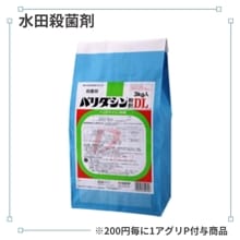 �Х������ʴ�ޣģ�