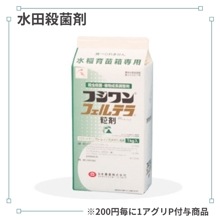 �ե����ե���ƥ�γ��