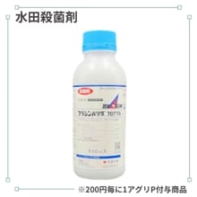 �֥饷��Х���ե����֥�