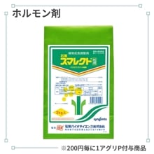 ���ޥ쥯��γ��