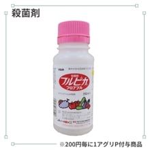 �ե�ԥ��ե����֥�