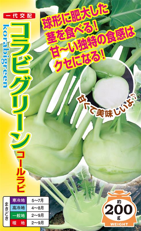 ����ӥ��꡼��ʥʥ�ȼ��ġˡ�