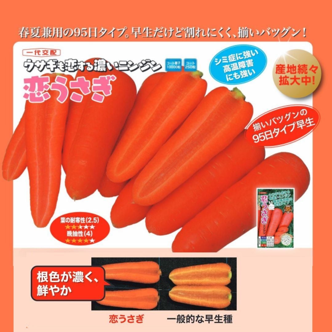 恋うさぎ　人参種 恋うさぎ（ナント種苗） | 野菜の種,根菜,ニンジン | アグリブック