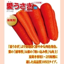 ���������ʥʥ�ȼ��ġ�