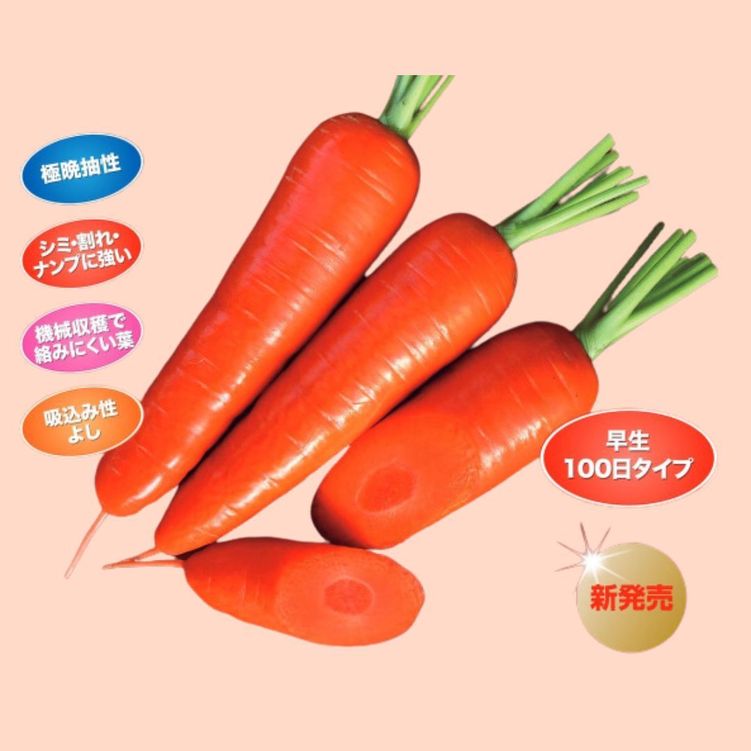 萌うさぎ（ナント種苗） | 野菜の種,根菜,ニンジン | アグリブック