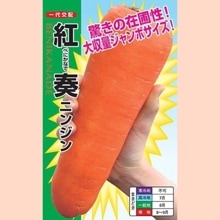 ���աʥʥ�ȼ��ġ�