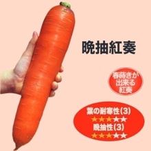 ������աʥʥ�ȼ��ġ�