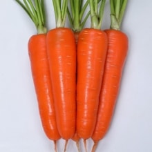 �١������������ʥ������Υ��͡ˡ�