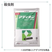 ���ǥ�������º�