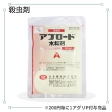 ���ץ����ɿ��º�