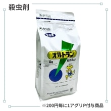 ����ȥ��γ��