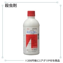 �����������Υå�������