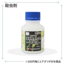 ���֥�ե������ե����֥�