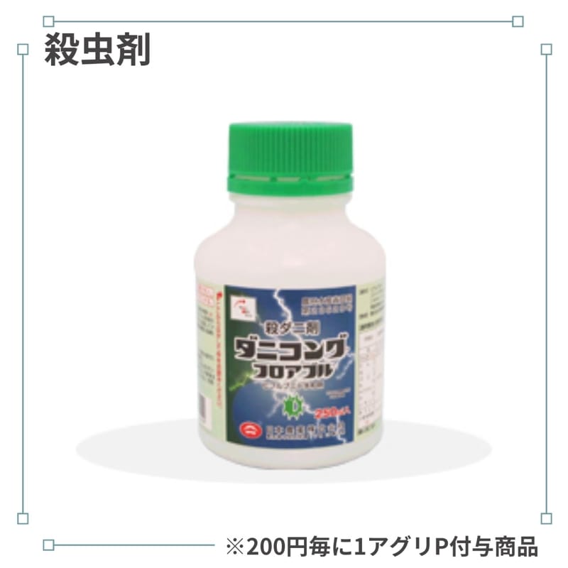 ���˥��󥰥ե����֥�