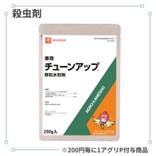 ���塼�󥢥å���γ���º�