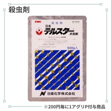 �ƥ륹�������º�