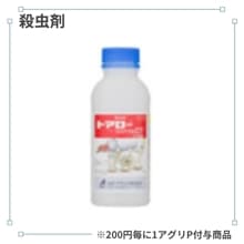 �ȥ������ե����֥�ã�