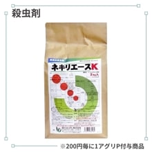 �ͥ��ꥨ������