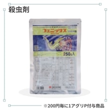 �ե��˥å�����γ���º�