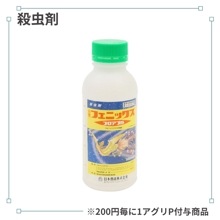 �ե��˥å����ե����֥�