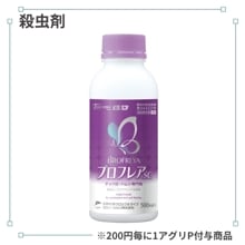 �֥��ե쥢�ӣ�