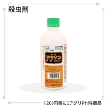 �ޥ饽������