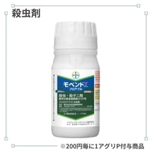 ��٥�ȥե����֥�