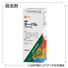 �衼�Х�ե����֥�