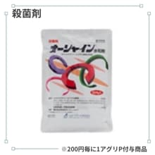 �������㥤����º�