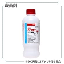 ���ȥ��ӡ��ե����֥�