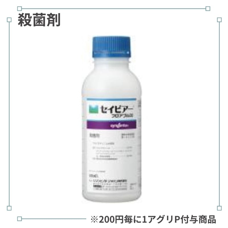 �����ӥ����ե����֥룲��