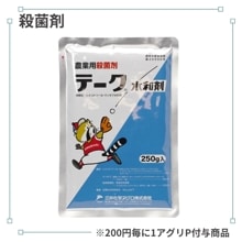 �ơ������º�