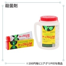 �ȥåץ���ͥڡ�����