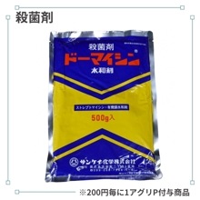 �ɡ��ޥ�������º�