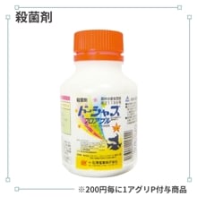 �ɡ����㥹�ե����֥�