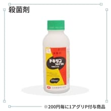 �ɥ����ե����֥�