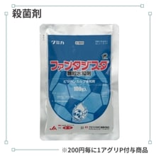 �ե��󥿥�������γ���º�