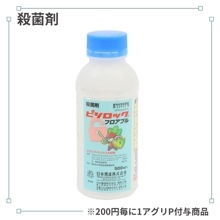 �ԥ����å��ե����֥�