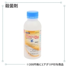 �ե��󥵥��ɣӣ�