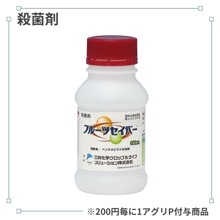 �ե롼�ĥ����С�