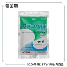 �ե���٥���γ���º�