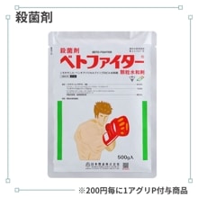 �٥ȥե���������γ���º�